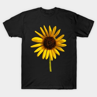 Lonely Sunflower T-Shirt